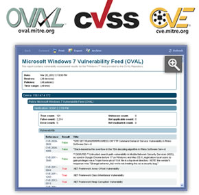 Vulnerability Assessment Report